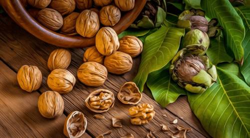 تصویر 2 از خرید و قیمت گردو چینی عمده + فروش عمده