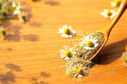 تصویر 5 از خرید و قیمت گیاه خشک شده بابونه + فروش عمده