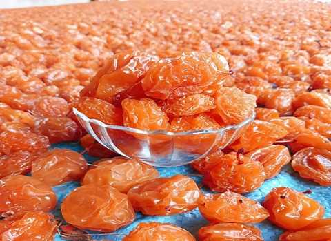 تصویر 2 از خرید آلو بخارا حاج حسنی + قیمت فروش استثنایی