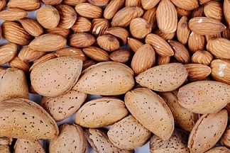 تصویر 1 از خرید بادام درختی مامایی  + قیمت عالی باکیفیت