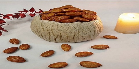 تصویر 3 از راهنمای خرید بادام درختی سنجابک + قیمت عالی