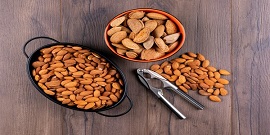 تصویر 2 از خرید جدیدترین انواع بادام درختی شهرکرد