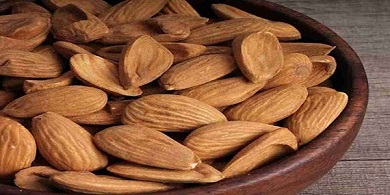تصویر 5 از خرید جدیدترین انواع بادام درختی شهرکرد