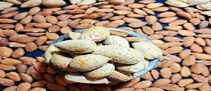 قیمت بادام درختی
