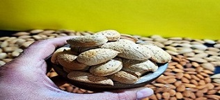 تصویر 5 از خرید و قیمت انواع بادام درختی ریز