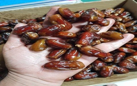 تصویر 1 از قیمت خرید خرما سایر شادگان عمده به صرفه و ارزان