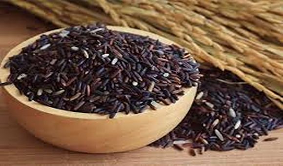 تصویر 4 از قیمت خرید دانه بالنگو شیرازی + فروش ویژه