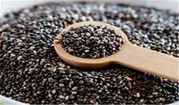 تصویر 5 از قیمت خرید دانه بالنگو شیرازی + فروش ویژه