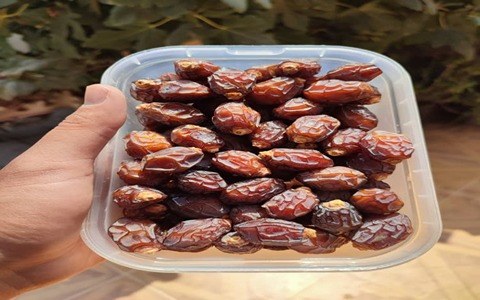 تصویر 3 از قیمت خرید خرما زاهدی تازه با فروش عمده