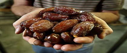تصویر 1 از خرید و قیمت خرما پیارم سوپر لوکس+ فروش عمده