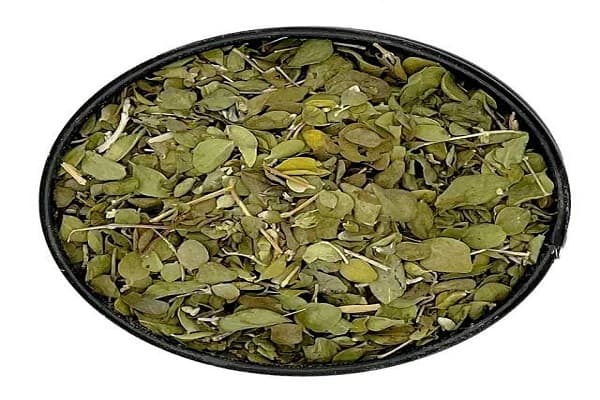 تصویر 4 از معرفی آویشن کوهی شیرازی + بهترین قیمت خرید