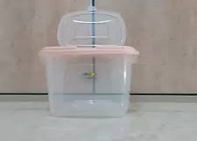 تصویر 1 از خرید و قیمت سطل پلاستیکی 5 کیلویی + فروش صادراتی