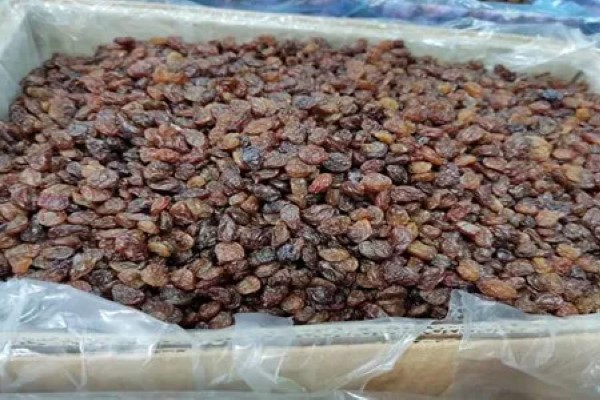 تصویر 5 از قیمت و خرید کشمش پلویی کارتونی + فروش ارزان