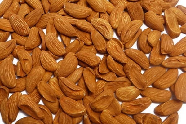 فروش خشکبار خراسان