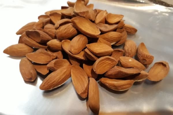 تصویر 5 از بهترین مغز بادام مامایی + قیمت خرید عالی