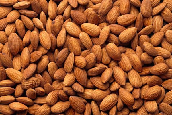 فروش مغز بادام