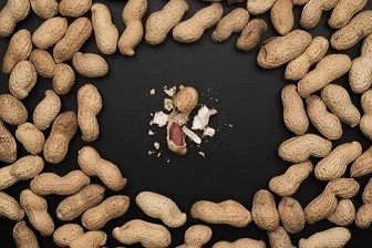 تصویر 1 از خرید بادام زمینی خوش طعم