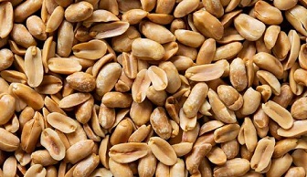 تصویر 2 از خرید بادام زمینی خوش طعم