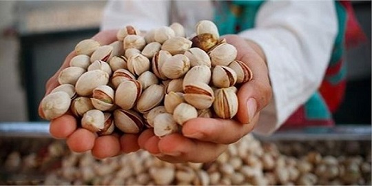 تصویر 1 از قیمت خرید پسته درجه یک صادراتی + فروش ویژه