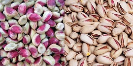 تصویر 2 از قیمت خرید پسته درجه یک صادراتی + فروش ویژه