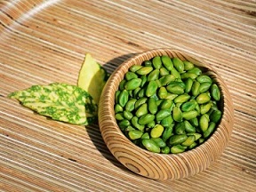 تصویر 3 از قیمت خرید پسته سبز قزوین + فروش ویژه