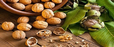 تصویر 1 از خرید و قیمت گردو پوست کنده صادراتی + فروش عمده