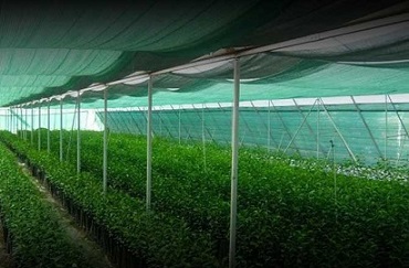 تصویر 4 از قیمت خرید توری سایبان گلخانه + فروش ویژه