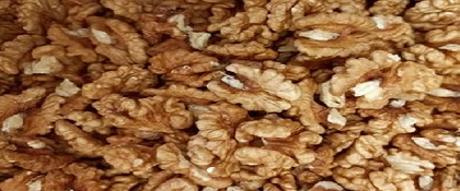 تصویر 4 از خرید مغز گردو تویسرکان + قیمت فروش استثنایی
