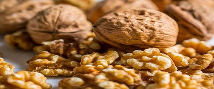 تصویر 2 از خرید گردو پوست کنده صادراتی + قیمت فروش استثنایی