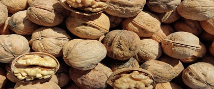 تصویر 3 از خرید گردو پوست کنده صادراتی + قیمت فروش استثنایی