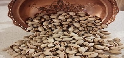 تصویر 1 از خرید و فروش پسته بادامی خام با شرایط فوق العاده