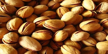 تصویر 1 از قیمت خرید پسته فندقی دامغان با فروش عمده
