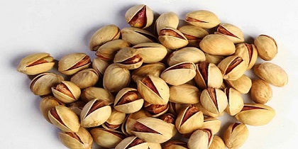 تصویر 2 از قیمت خرید پسته فندقی دامغان با فروش عمده