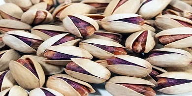 تصویر 3 از قیمت خرید پسته فندقی دامغان با فروش عمده