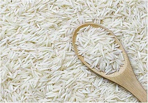 تصویر 4 از فروش برنج کشت دوم هاشمی  + قیمت خرید به صرفه