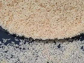 تصویر 5 از فروش برنج کشت دوم هاشمی  + قیمت خرید به صرفه