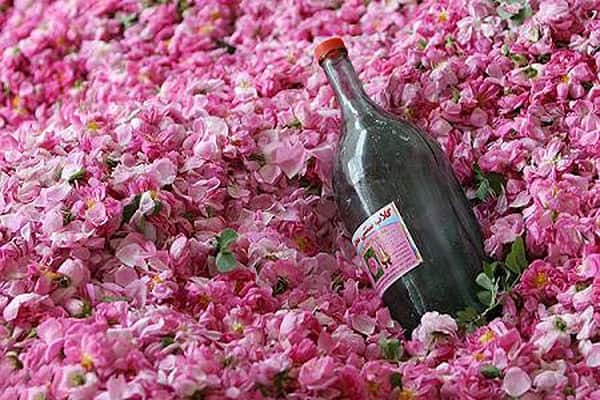 تصویر 5 از خرید گلاب ممتاز کاشان + قیمت فروش استثنایی