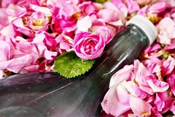 تصویر 2 از خرید گلاب ممتاز کاشان + قیمت فروش استثنایی