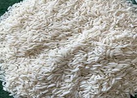 تصویر 5 از خرید و فروش  برنج طارم هاشمی فریدونکنار  با شرایط فوق العاده