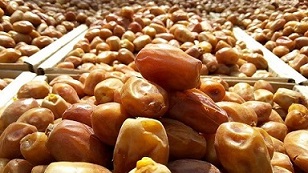 تصویر 1 از خرید خرما زاهدی خشک + قیمت فروش استثنایی