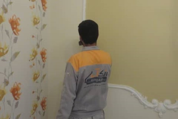 تصویر 5 از فروش رنگ نیم پلاستیک دیوار + قیمت خرید به صرفه