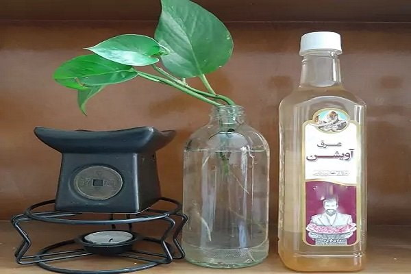 تصویر 4 از خرید و فروش عرق آویشن اصل با شرایط فوق العاده