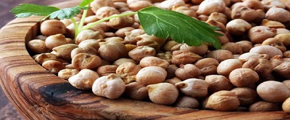 تصویر 1 از خرید نخود صادراتی کرمانشاهی + قیمت فروش استثنایی