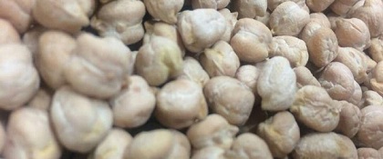 تصویر 4 از خرید نخود صادراتی کرمانشاهی + قیمت فروش استثنایی