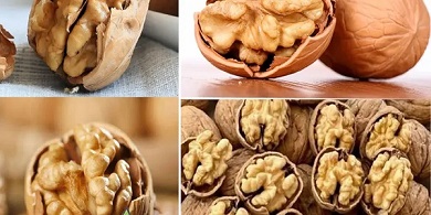 تصویر 4 از قیمت خرید گردو پوست کاغذی ایرانی عمده به صرفه و ارزان