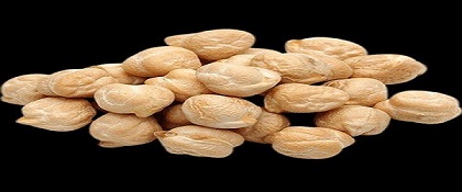 تصویر 3 از خرید نخود درشت کرمانشاهی + قیمت فروش استثنایی