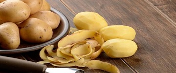 تصویر 4 از خرید سیب زمینی آگریا همدان + قیمت فروش استثنایی