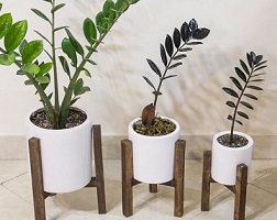 تصویر 1 از خرید و فروش گلدان پلاستیکی استوانه ای +شرایط فوق العاده
