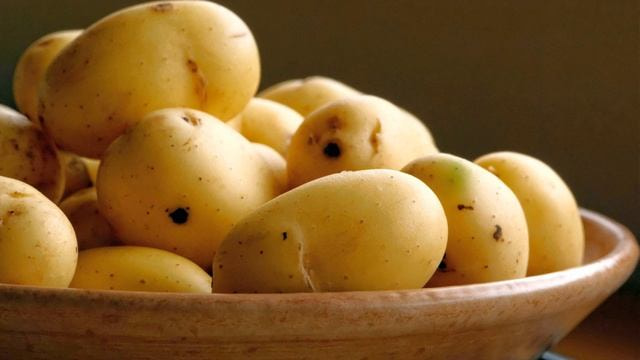 تصویر 3 از خرید و قیمت سیب زمینی آگریا اردبیل + فروش عمده