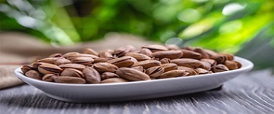 تصویر 1 از خرید پسته پوست استخوانی + قیمت فروش استثنایی